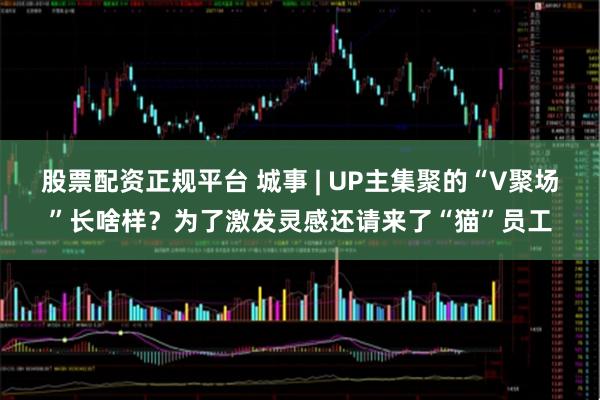 股票配资正规平台 城事 | UP主集聚的“V聚场”长啥样？为了激发灵感还请来了“猫”员工