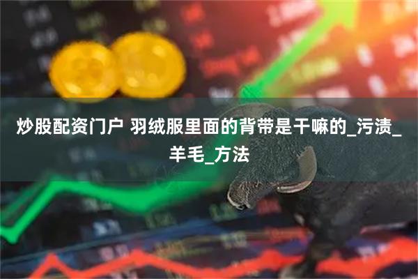 炒股配资门户 羽绒服里面的背带是干嘛的_污渍_羊毛_方法