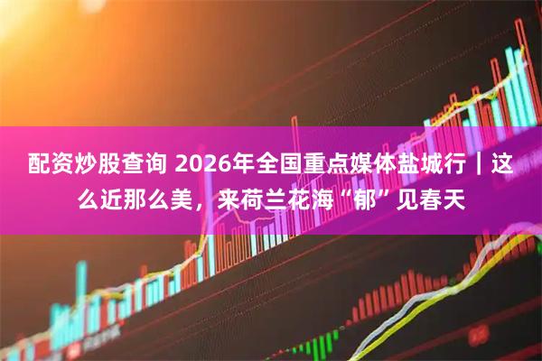 配资炒股查询 2026年全国重点媒体盐城行｜这么近那么美，来荷兰花海“郁”见春天