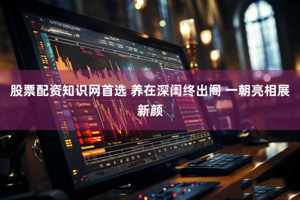 股票配资知识网首选 养在深闺终出阁 一朝亮相展新颜